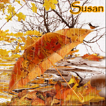Susan[1] (11)